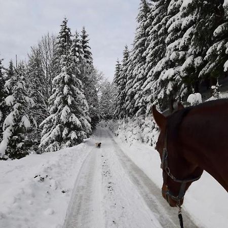 Statek U Rajmunda Zemedelska Farma Villa Velké Karlovice Buitenkant foto