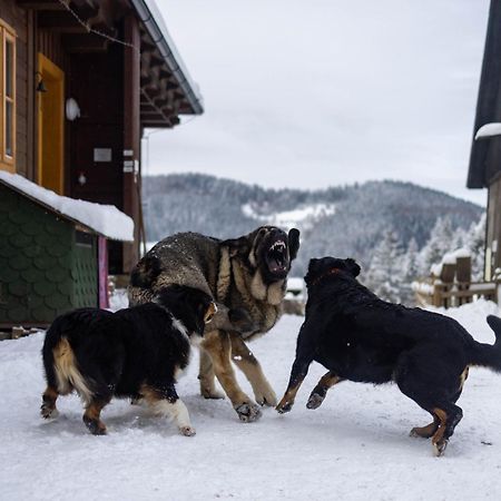 Statek U Rajmunda Zemedelska Farma Villa Velké Karlovice Buitenkant foto