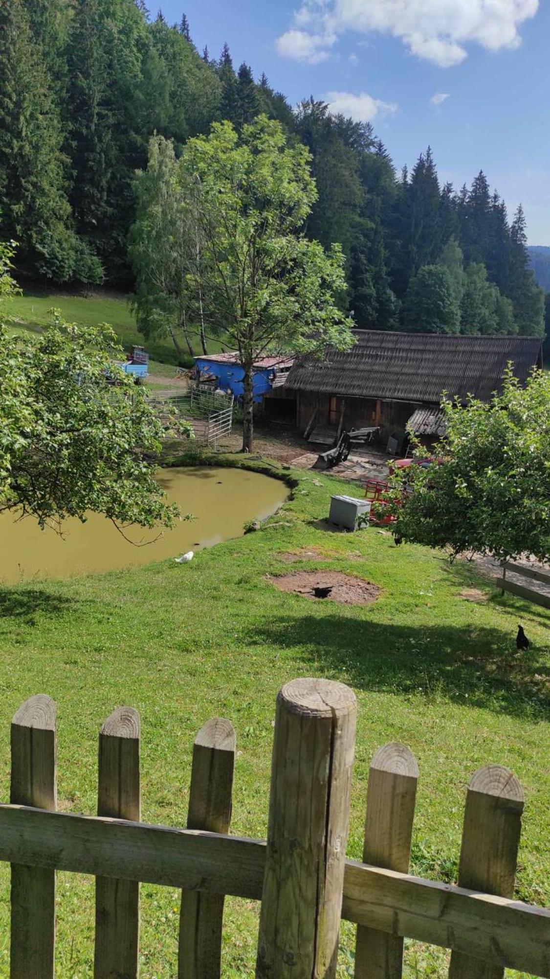 Statek U Rajmunda Zemedelska Farma Villa Velké Karlovice Buitenkant foto