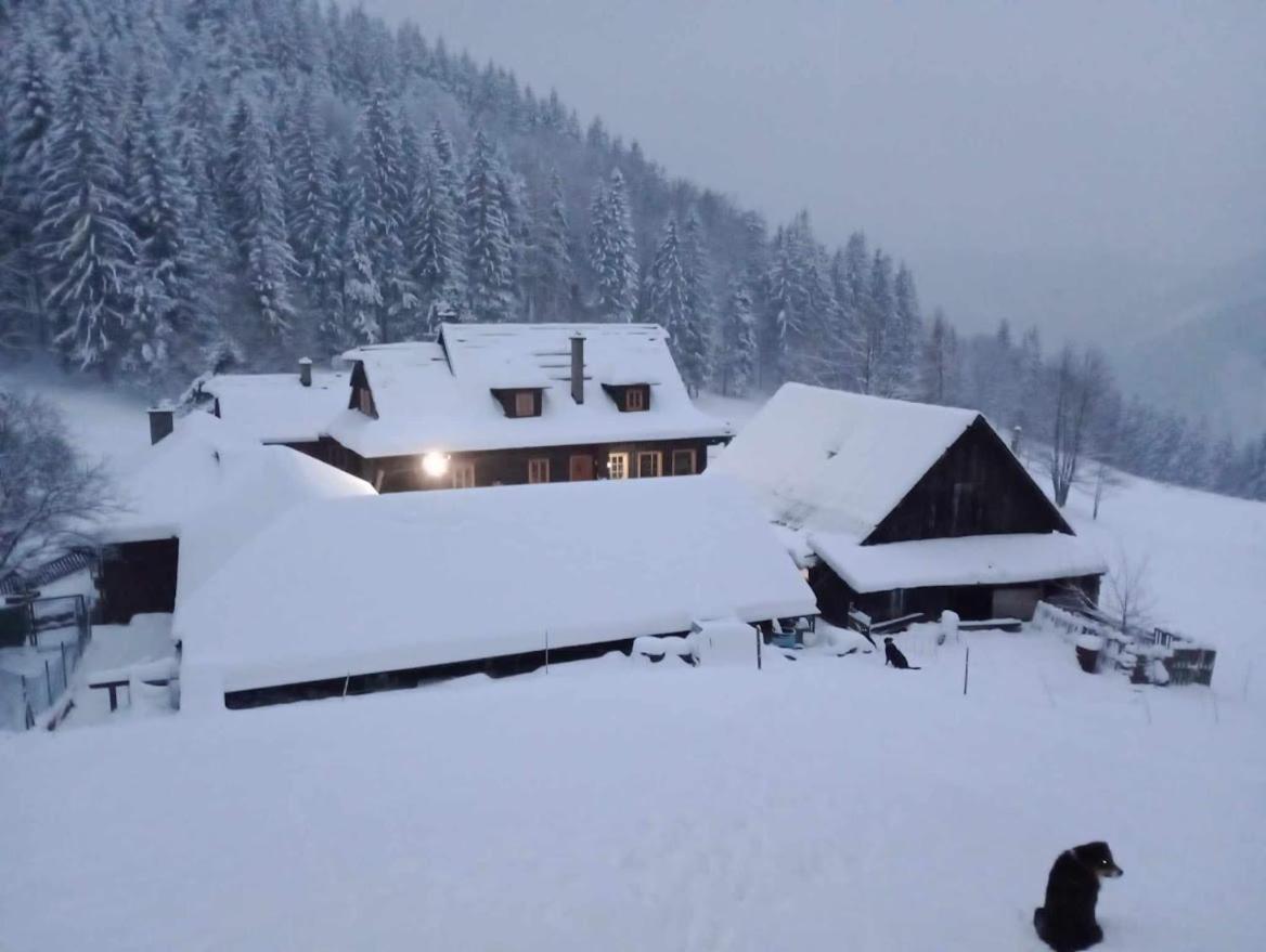 Statek U Rajmunda Zemedelska Farma Villa Velké Karlovice Buitenkant foto