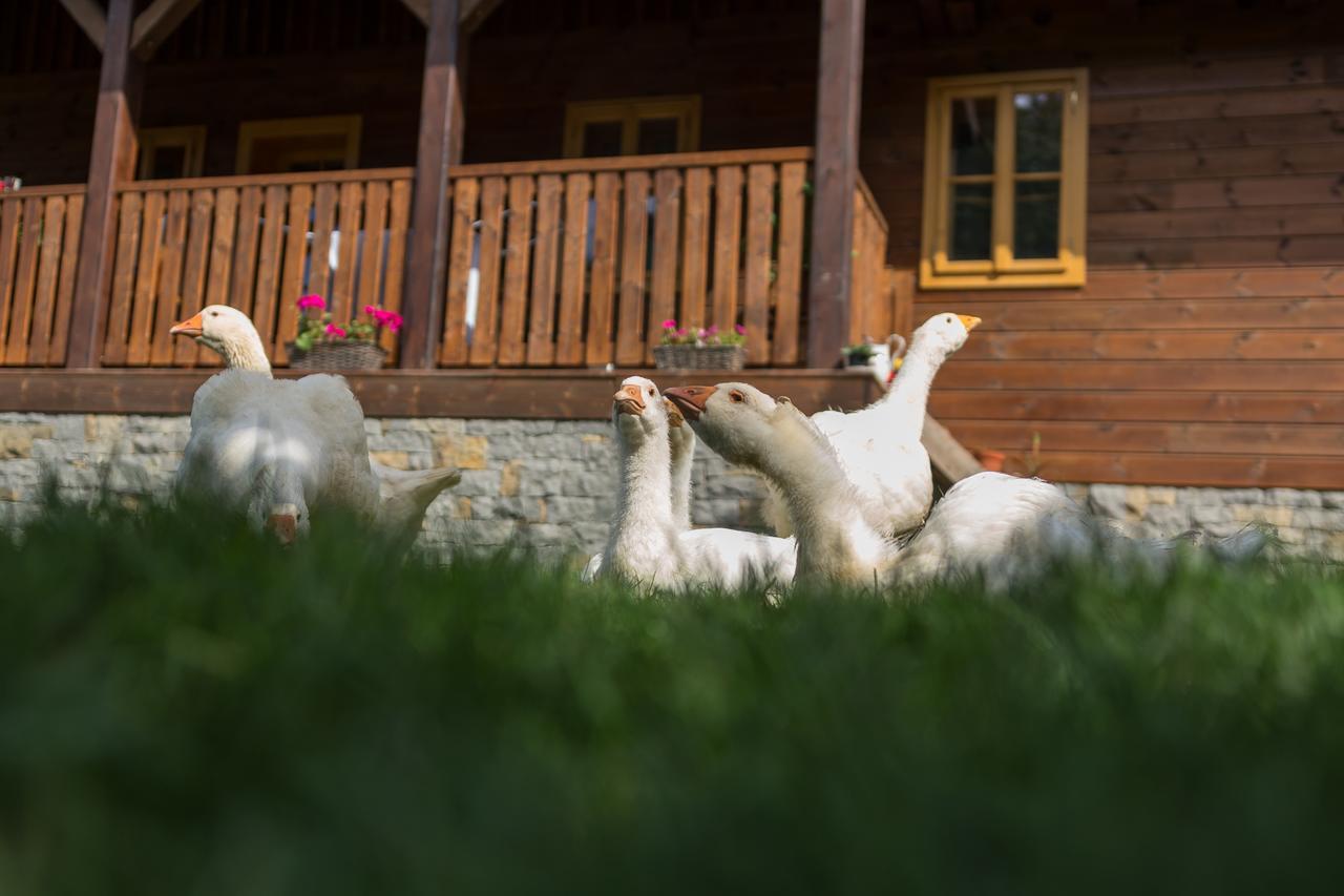 Statek U Rajmunda Zemedelska Farma Villa Velké Karlovice Buitenkant foto