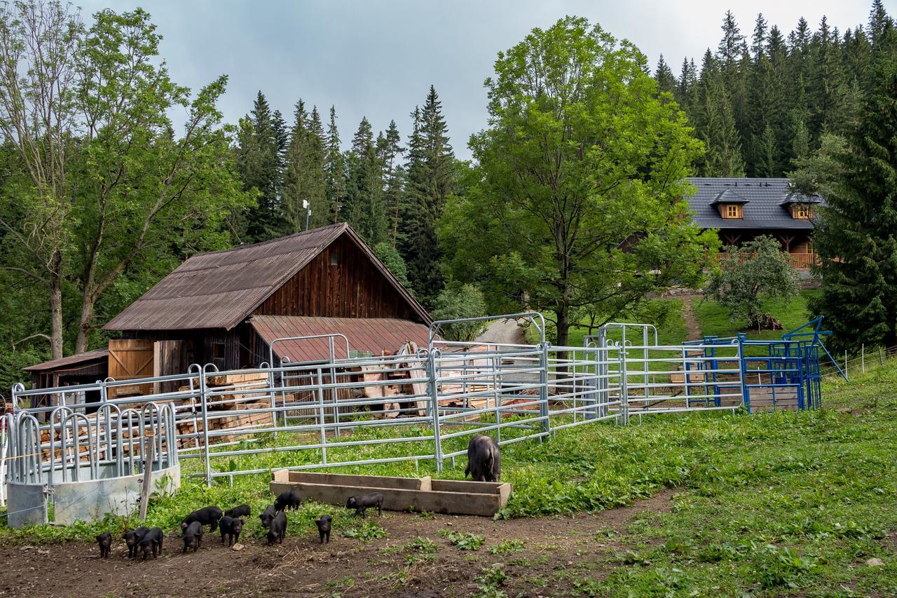 Statek U Rajmunda Zemedelska Farma Villa Velké Karlovice Buitenkant foto