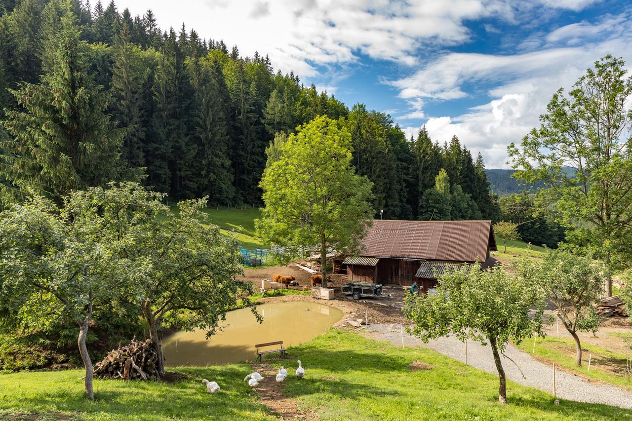 Statek U Rajmunda Zemedelska Farma Villa Velké Karlovice Buitenkant foto