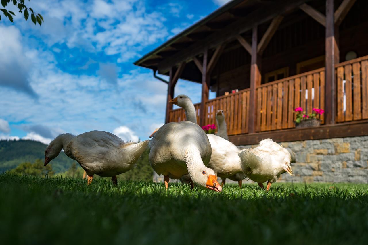 Statek U Rajmunda Zemedelska Farma Villa Velké Karlovice Buitenkant foto