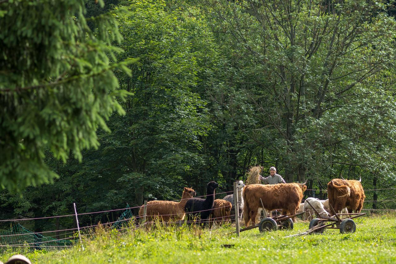 Statek U Rajmunda Zemedelska Farma Villa Velké Karlovice Buitenkant foto