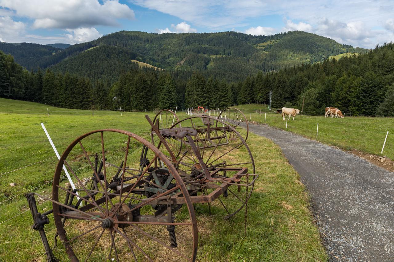 Statek U Rajmunda Zemedelska Farma Villa Velké Karlovice Buitenkant foto