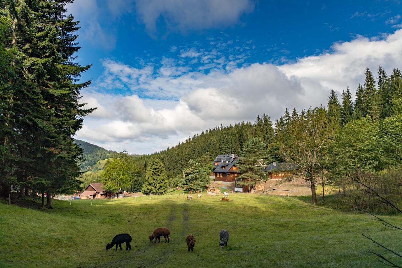 Statek U Rajmunda Zemedelska Farma Villa Velké Karlovice Buitenkant foto