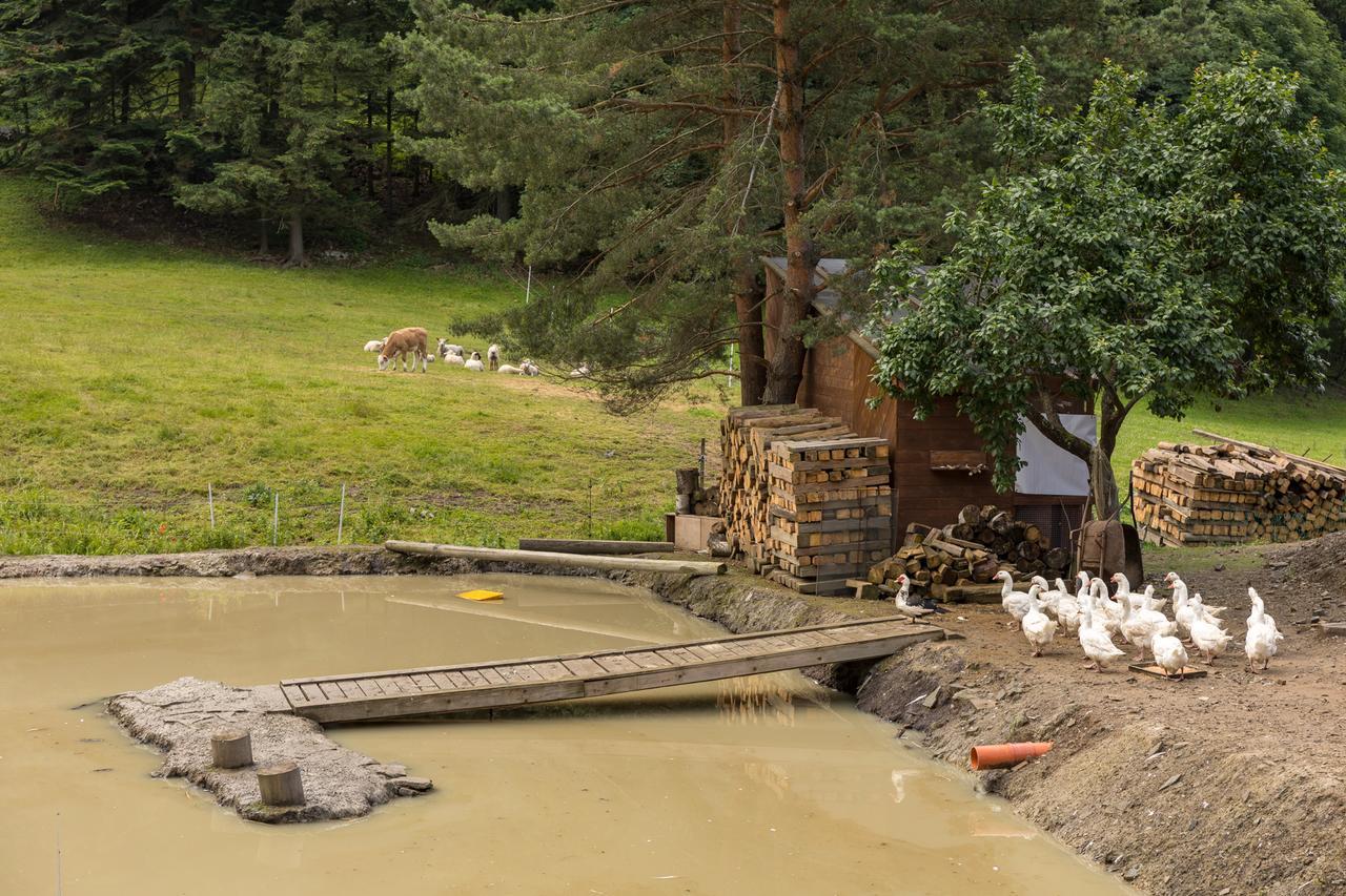 Statek U Rajmunda Zemedelska Farma Villa Velké Karlovice Buitenkant foto