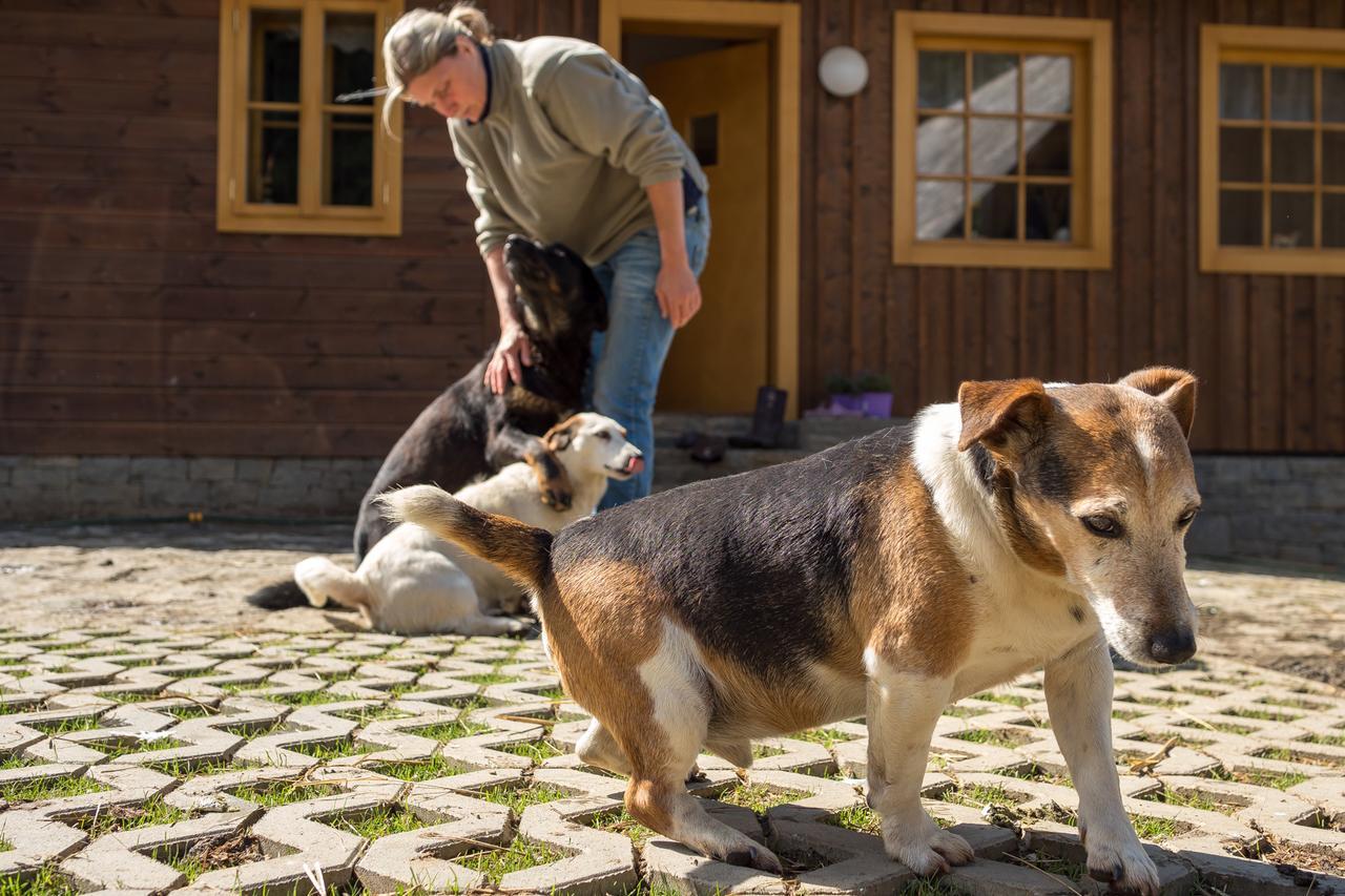 Statek U Rajmunda Zemedelska Farma Villa Velké Karlovice Buitenkant foto