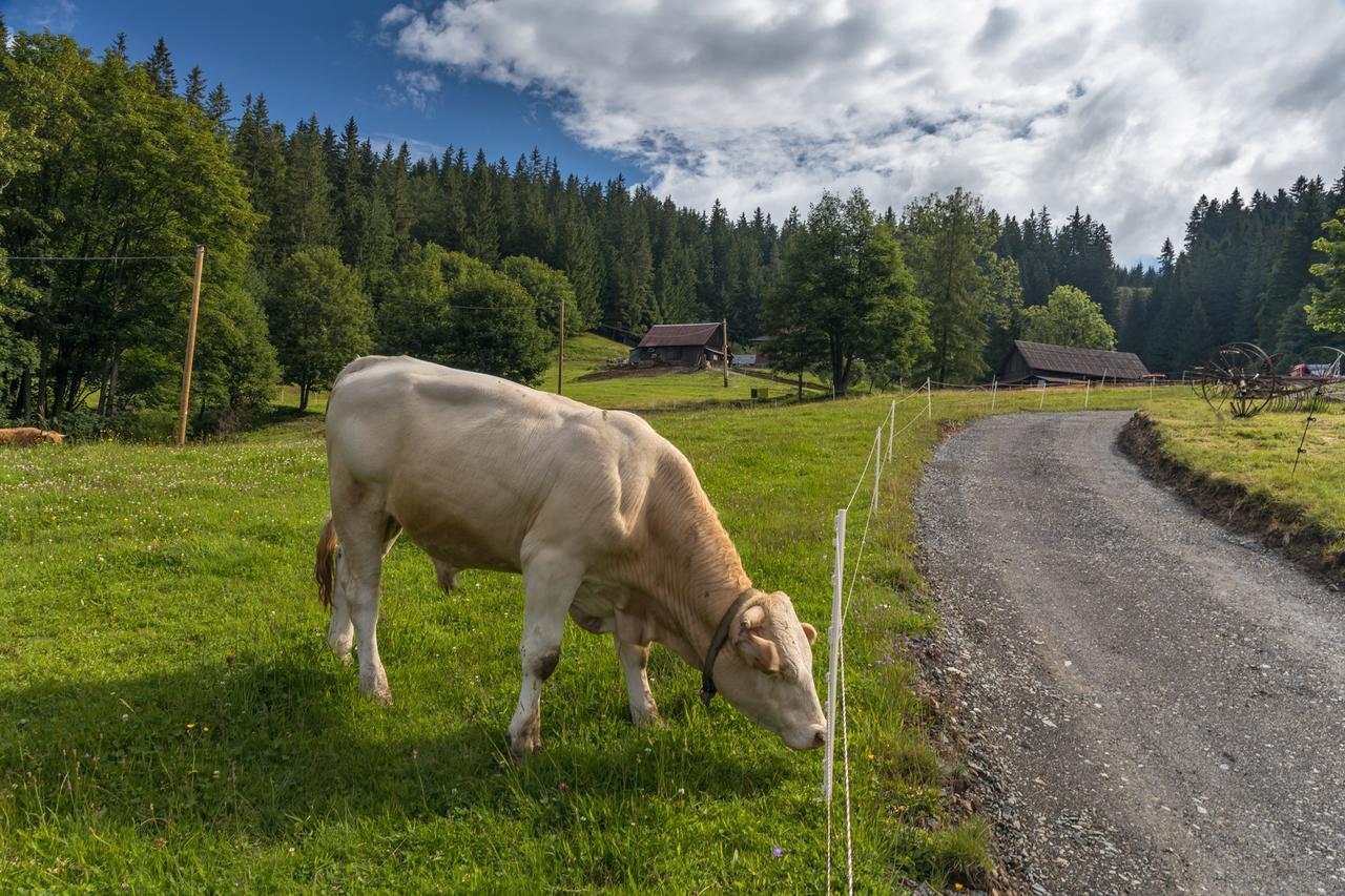 Statek U Rajmunda Zemedelska Farma Villa Velké Karlovice Buitenkant foto