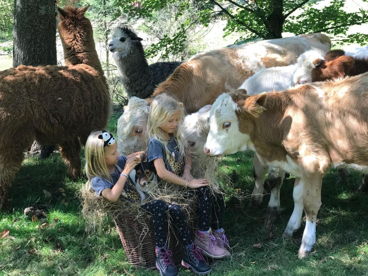 Statek U Rajmunda Zemedelska Farma Villa Velké Karlovice Buitenkant foto